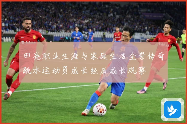 田亮职业生涯与家庭生活全景传奇跳水运动员成长经历成长观察