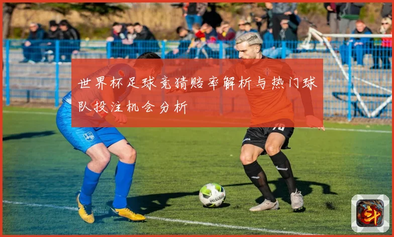 世界杯足球竞猜赔率解析与热门球队投注机会分析
