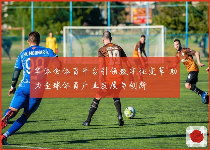 华体会体育平台引领数字化变革 助力全球体育产业发展与创新